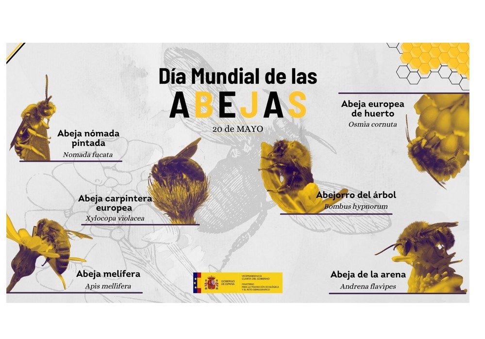 El MITECO ultima un nuevo sistema de seguimiento de polinizadores en España