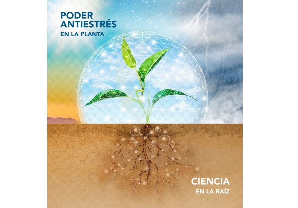 FMC lanza el bioestimulante Seamac® Rhizo: ciencia en la raíz, poder antiestrés en la planta