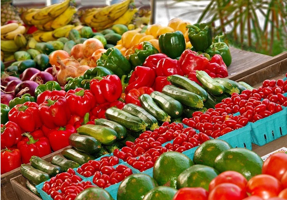 El Gobierno agiliza la certificación fitosanitaria para la exportación de vegetales