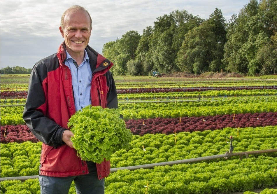 Rijk Zwaan apuesta por sus nuevas variedades de lechuga resistentes a la nueva raza de mildiu Bl:37EU