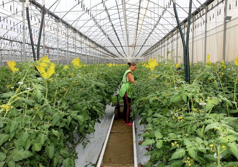 El Gobierno consolida su apoyo al relevo generacional y a la formación de jóvenes agricultores y ganaderos a través del Programa CULTIVA