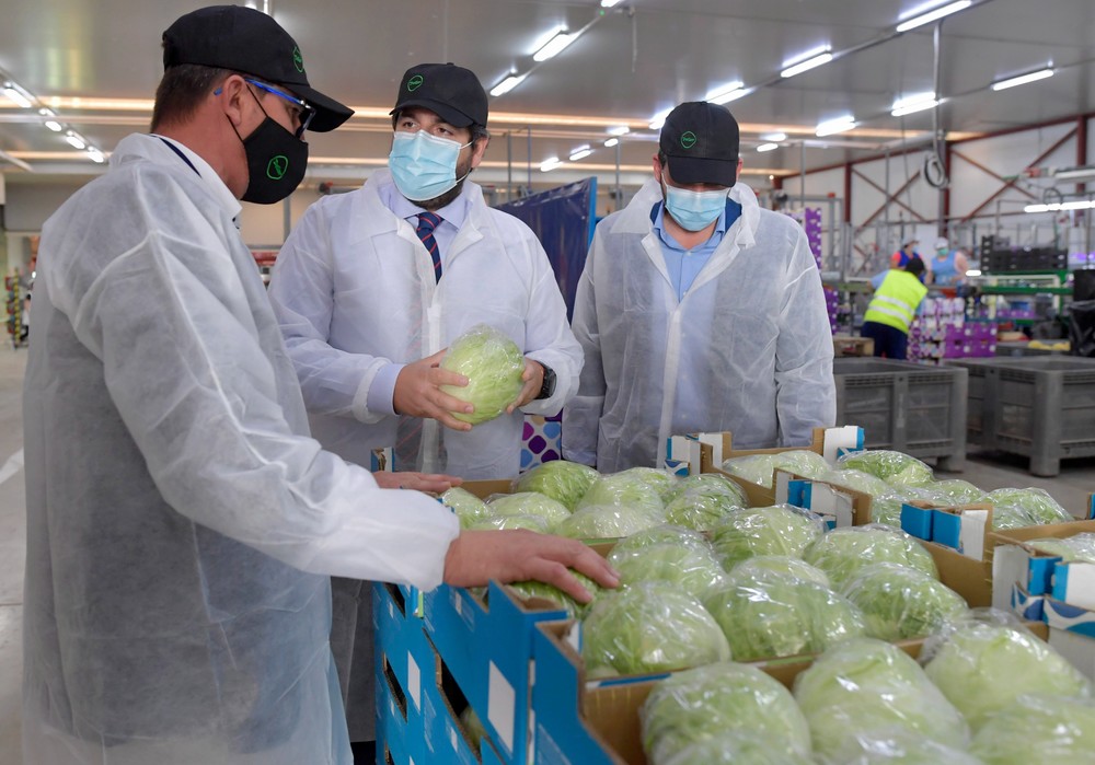 Más de 12.000 agricultores de la Región de Murcia se beneficiarán de nuevas ayudas por valor de 70 millones de euros durante este año
