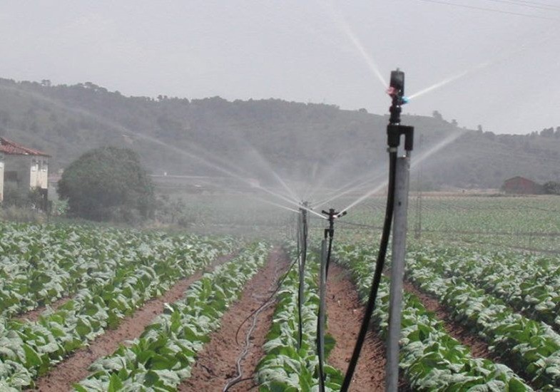 FENACORE pide al Ministerio para Transición Ecológica que asuma inversiones en modernización de regadíos y no las delegue