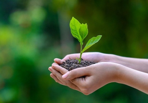 SQM es líder en la producción de nitrato potásico con la menor huella de carbono