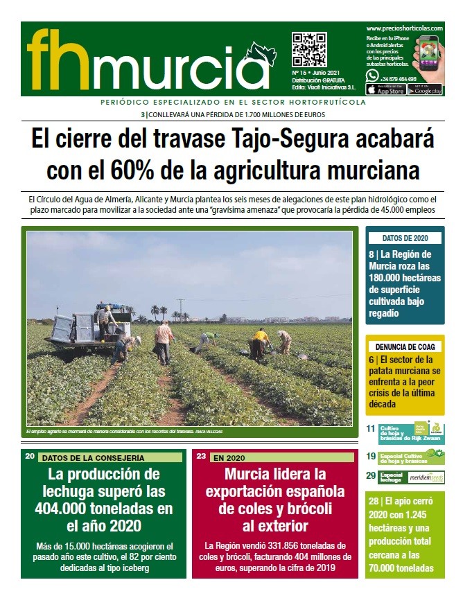 Número 15// Junio 2021