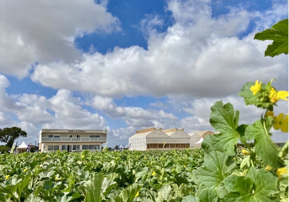 Rijk Zwaan presenta al sector agroalimentario su portfolio de melón y sandía