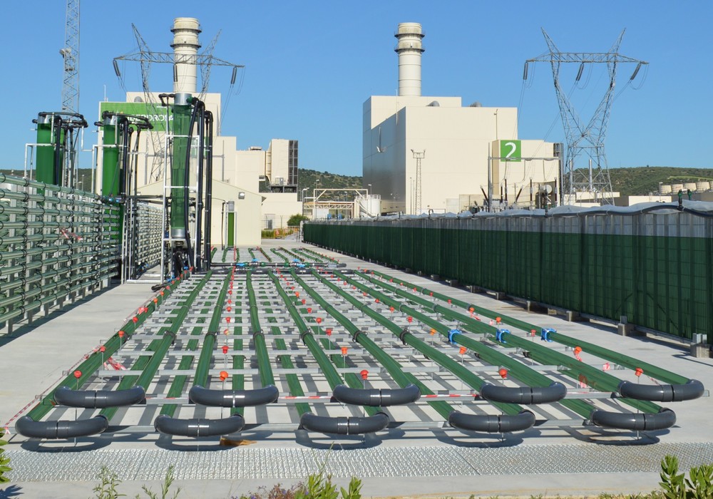 Caixa Capital Risc entra en el capital de AlgaEnergy, líder en innovación en el uso de microalgas