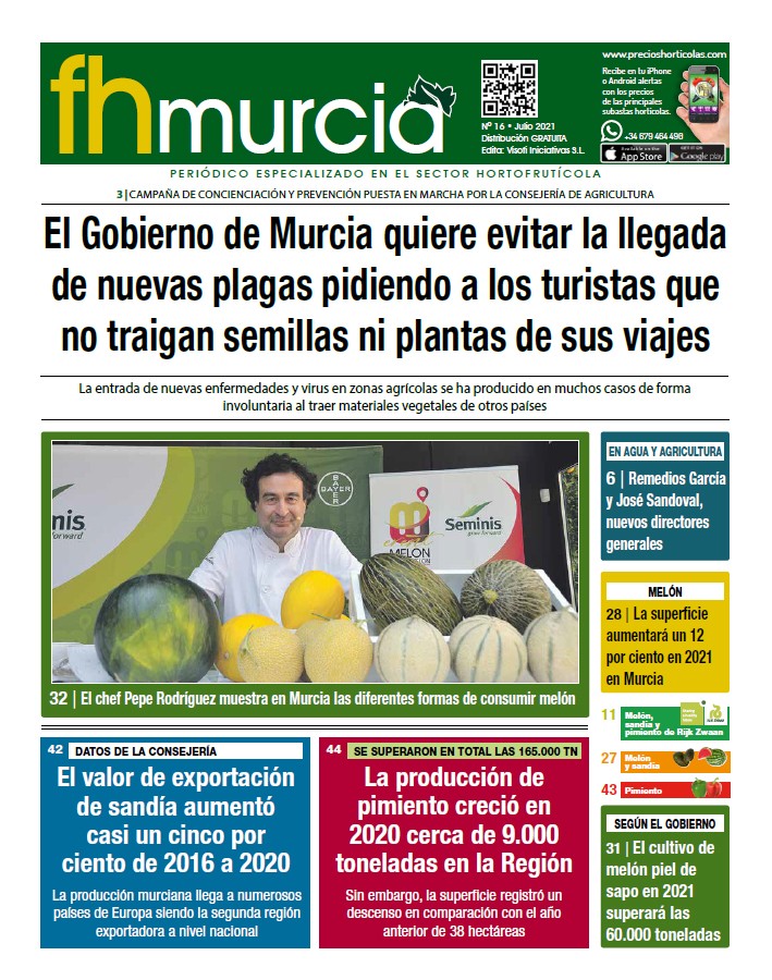 Número 16// Julio 2021