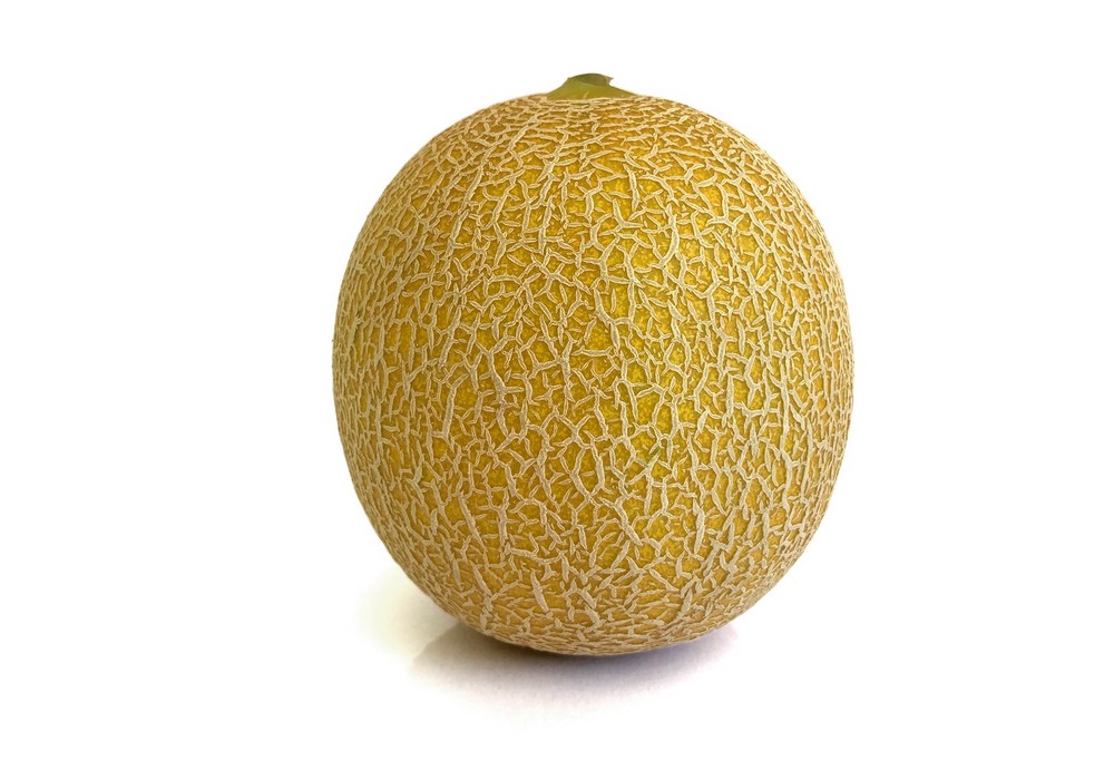 Seminis proporciona variedades más resistentes y hace fuerte al cultivo de melón