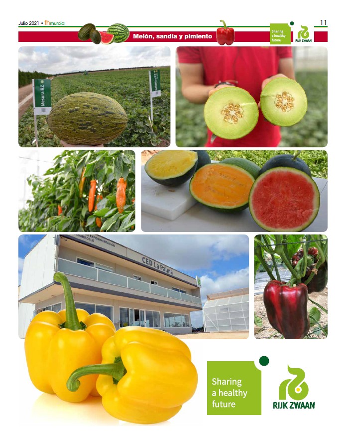 Julio 2021|| Especial melón, sandía y pimiento de Rijk Zwaan
