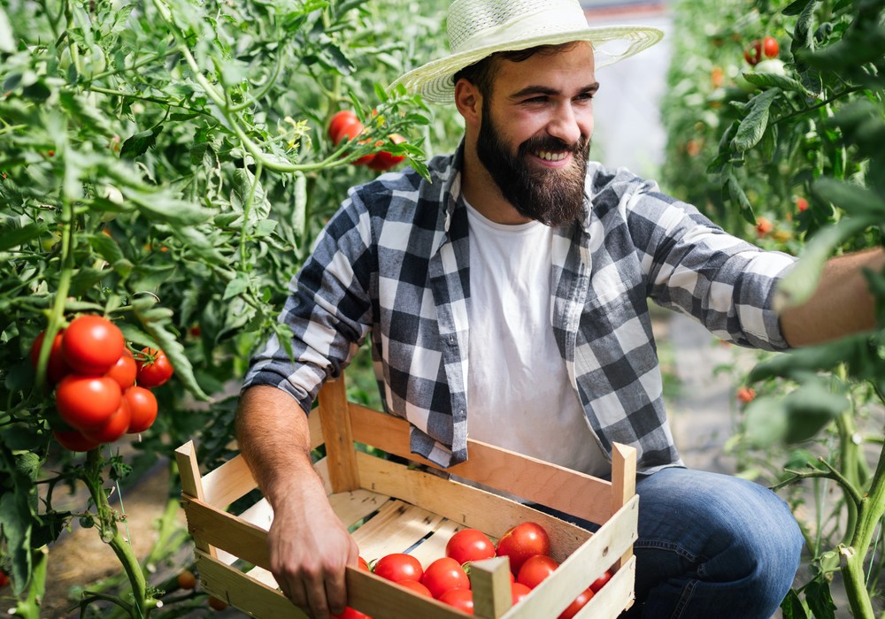 Soluciones nutricionales de Herogra Fertilizantes para el cultivo ecológico