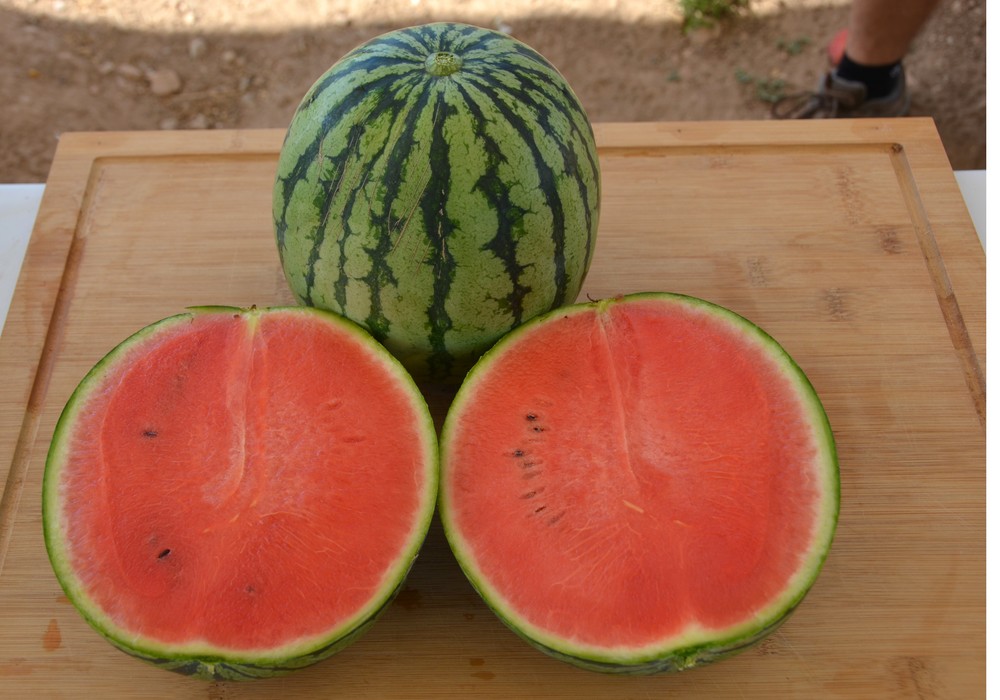 BASF construye sus catálogos de melón  y sandía con el sabor como eje central