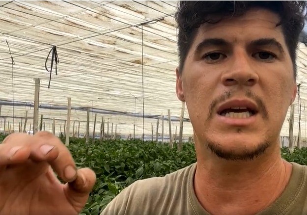 Bernabé vuelve a la carga y anima a los agricultores a ir a la huelga: 'si tenemos que tirar nuestro producto, el que venga de fuera también, como en Francia'