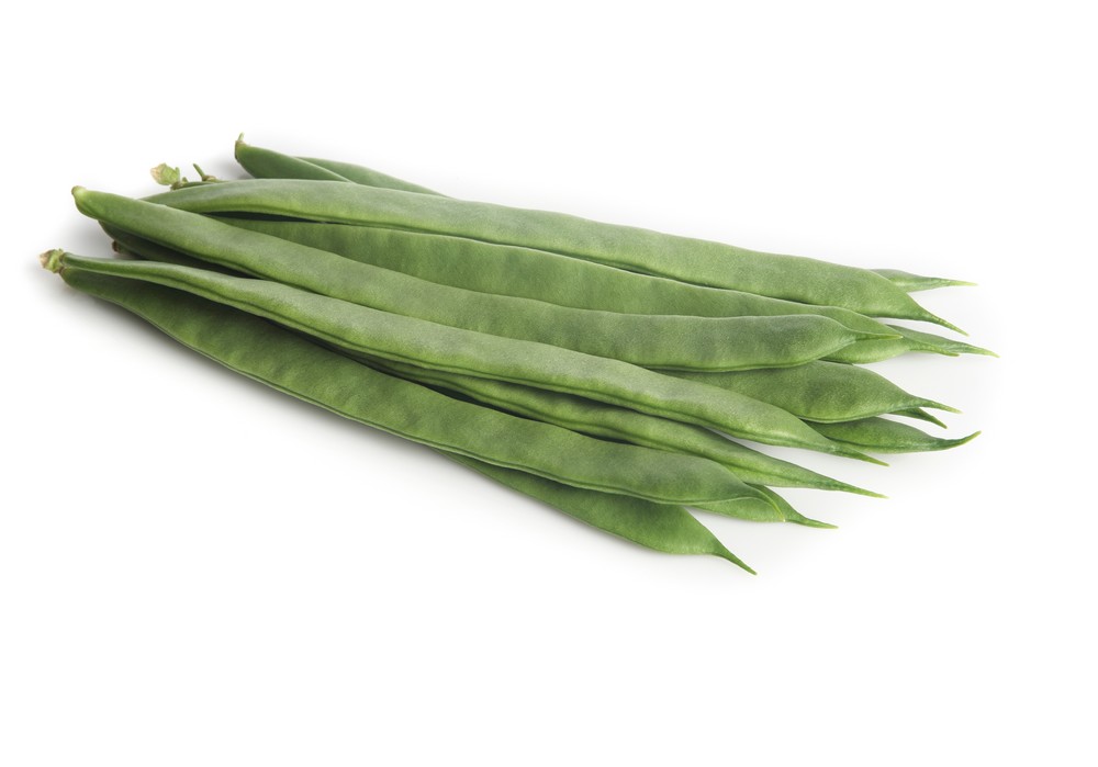 Greentense®, la judía de Rijk Zwaan con sabor dulce y excelente conservación