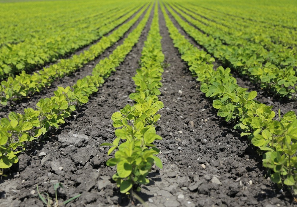El Ministerio de Agricultura, Pesca y Alimentación abre al plazo de solicitud de plazas en estancias formativas del programa Cultiva 2021
