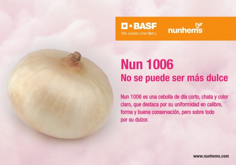 NUN 1006, la cebolla dulce de calidad superlativa