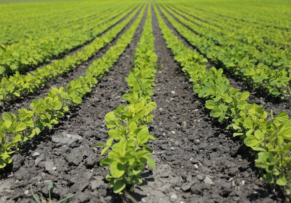 Autorizado un convenio que acerca a la FP un software de referencia en el sector hortofrutícola