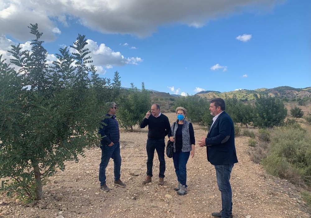 Cuatro fincas de la Región adaptan la agricultura de secano al cambio climático