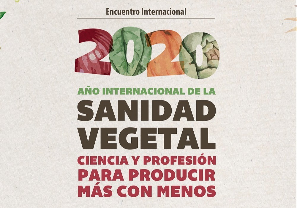 Año Internacional de la Sanidad Vegetal: las mayores amenazas para la agricultura española