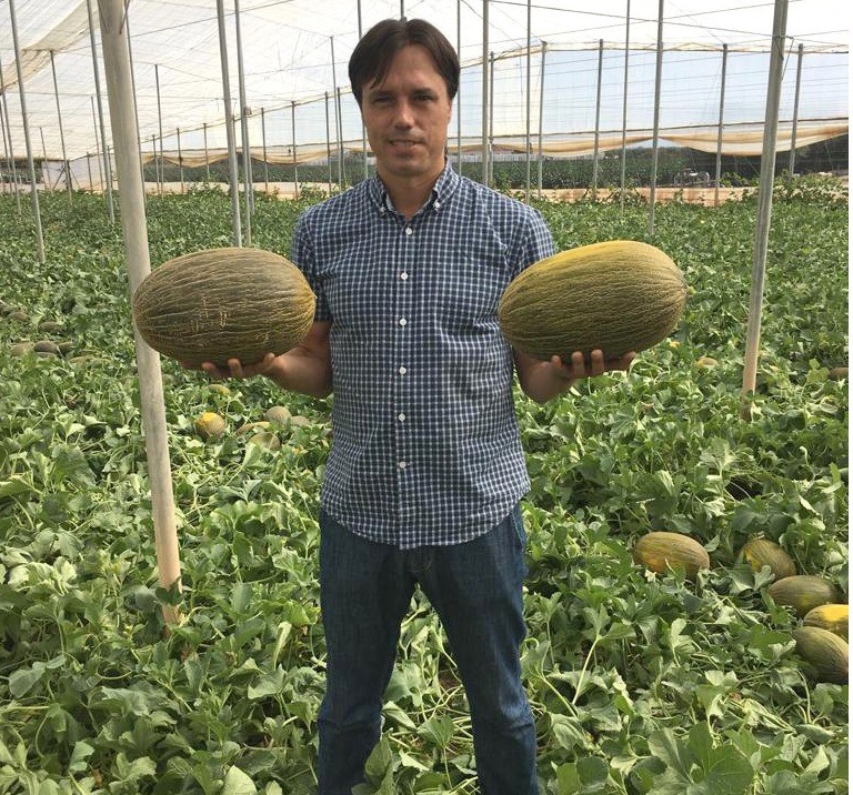 Ramiro Arnedo ofrece la solución en melón para aire libre e invernadero