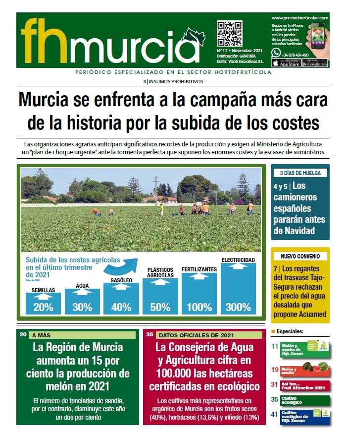 Número 17// Noviembre 2021