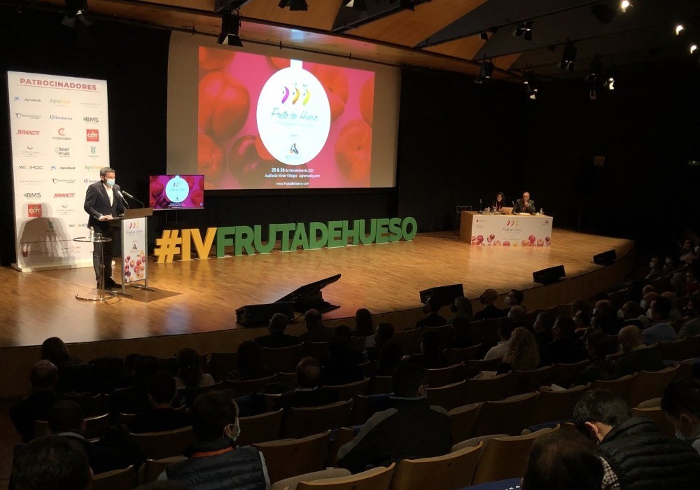  La Región se consolida como la primera exportadora de albaricoque de España con 37.082 toneladas, el 39 por ciento del nacional