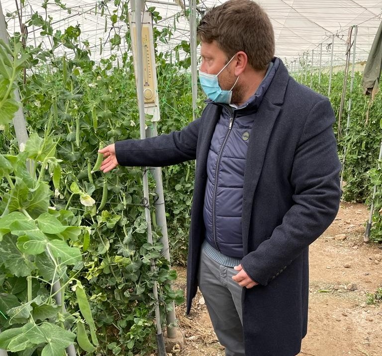 La Comunidad cofinancia un proyecto de transformación del guisante en producto gourmet