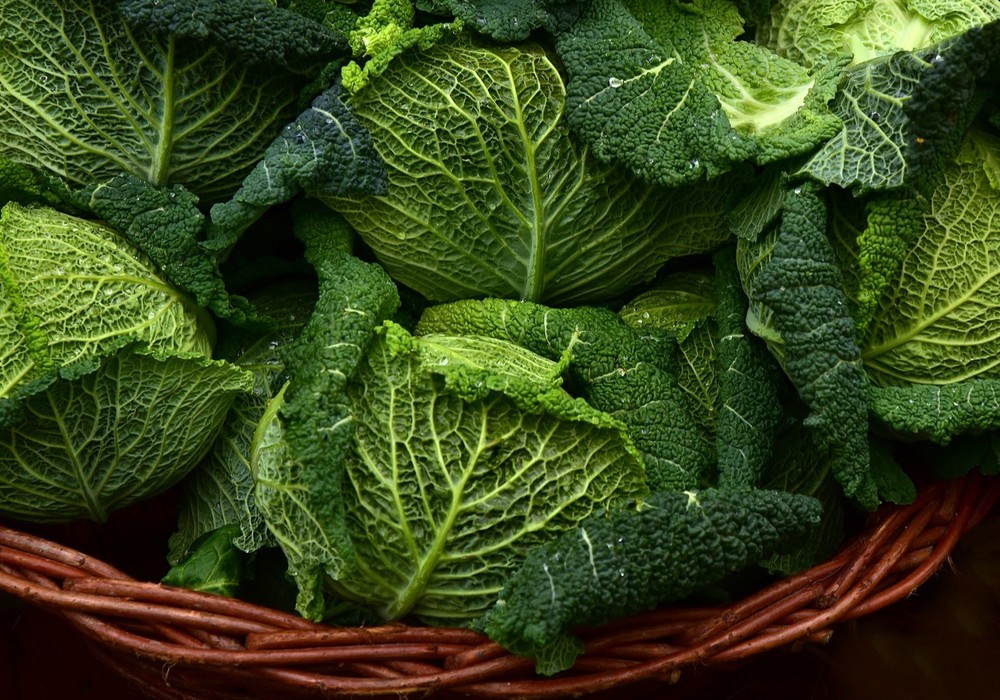 La Comisión Europea prevé presentar su reforma sobre la promoción de productos agroalimentarios en el primer trimestre