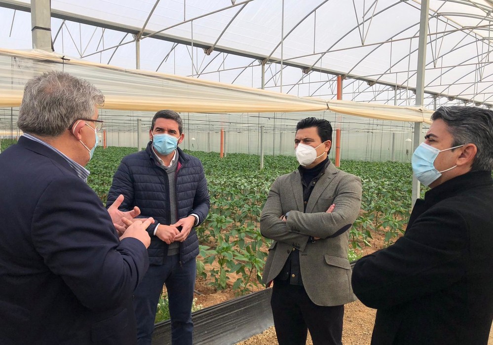  Luengo destaca el liderazgo de la Región de Murcia en innovación del sector agrario con el desarrollo de invernaderos de última generación