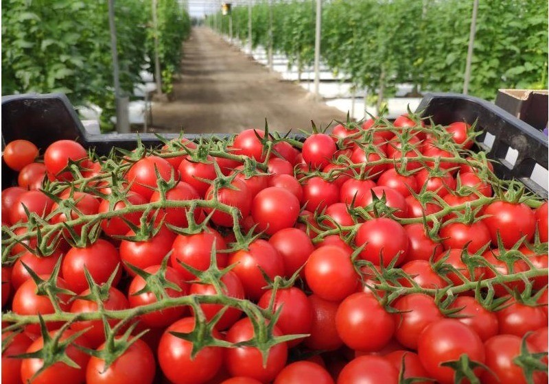El crecimiento de las exportaciones agroalimentarias catapulta a la Región como la segunda provincia exportadora