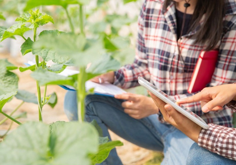 La inversión interna en I+D en el ámbito agroalimentario alcanzó los 845 millones de euros en 2020