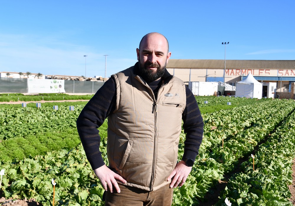 Vilmorin-Mikado muestra la excelencia de sus variedades de lechuga en campo