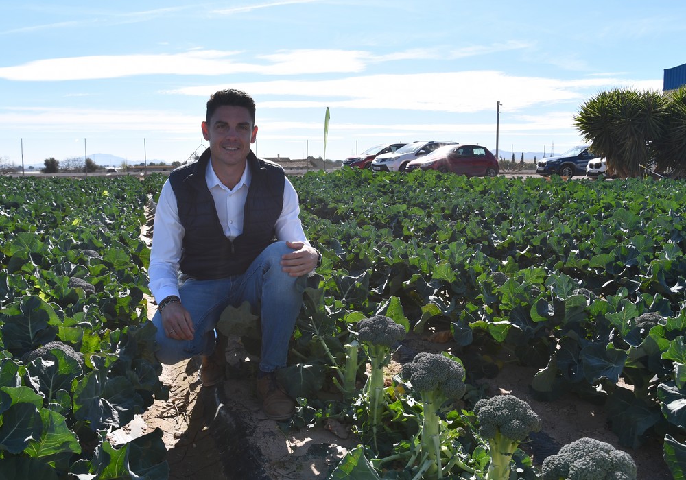 Seminis apuesta por un catálogo completo y mejorado en los Brassicas Winter Days