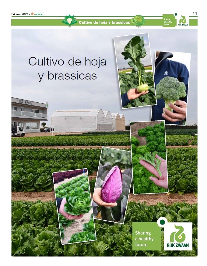 Febrero 2022|| Especial Cultivo de hoja y brassicas de Rijk Zwaan