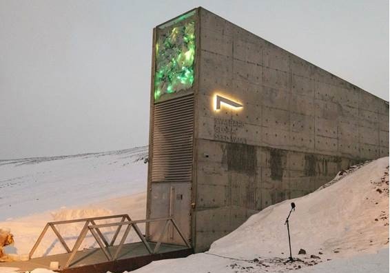 España depositará más de mil semillas en el Banco Mundial de Semillas de Svalbard, el ‘arca de Noé’ vegetal