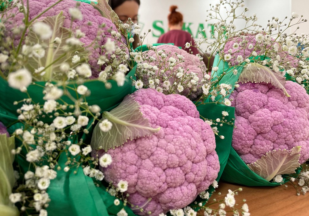 Sakata Seed presenta su plan de igualdad empresarial