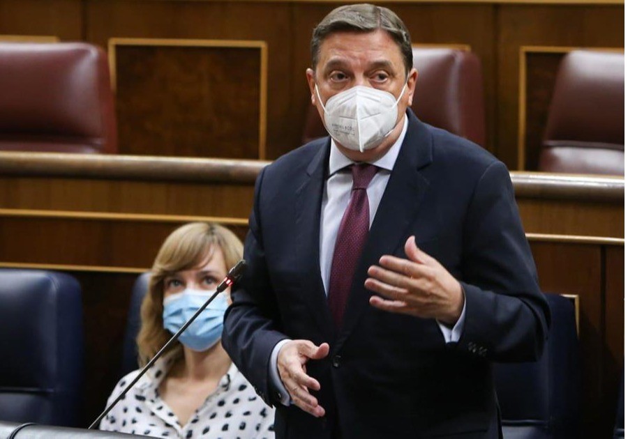 El ministro Planas subraya que el Gobierno trabaja para garantizar los suministros y la seguridad alimentaria