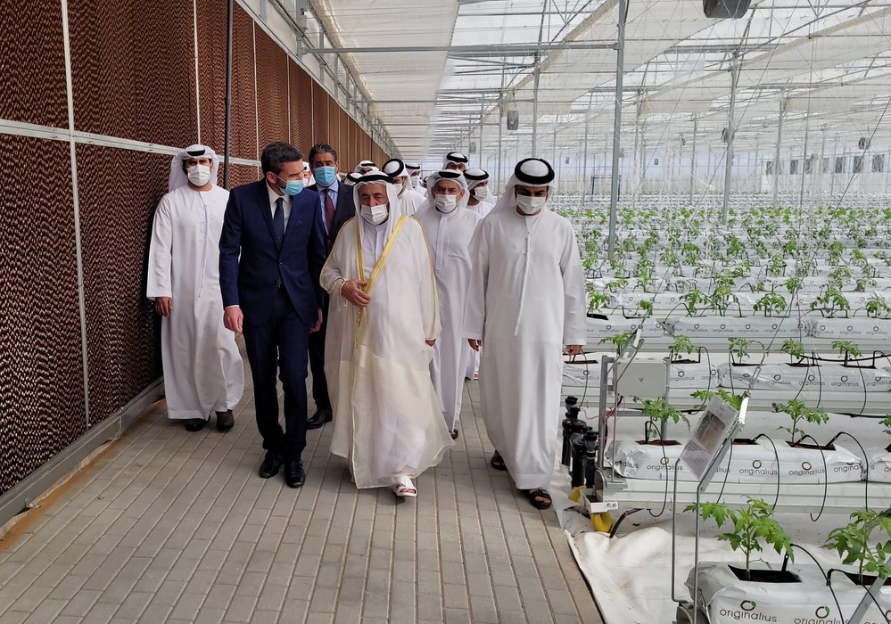 La Región de Murcia exporta a Emiratos Árabes Unidos las últimas novedades en materia de invernaderos de alta tecnología