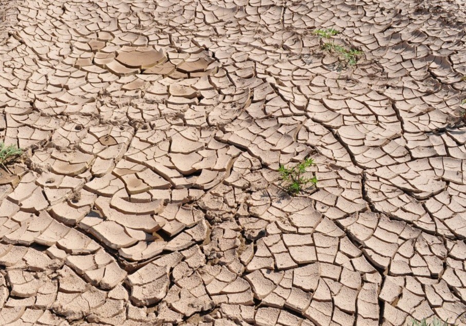 El Levante español se une contra el Plan Hidrológico del Tajo