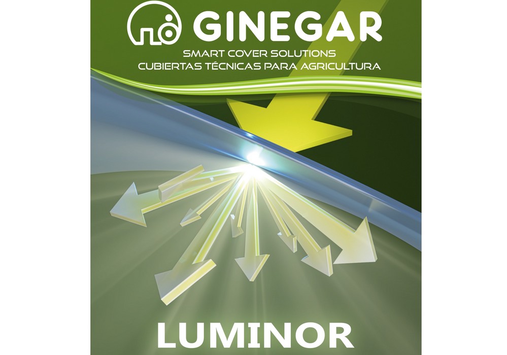 Luminor, la cubierta multicapa con elevada resistencia mecánica y alta difusión de luz