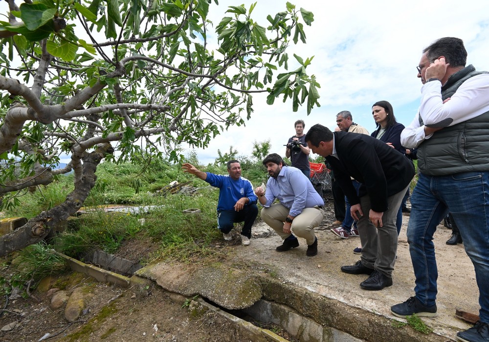 López Miras confirma “grandes daños” por el granizo y anuncia que la Comunidad “pagará el tratamiento de árboles afectados y mediará en el cobro de seguros”