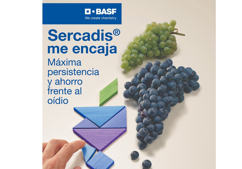 Sercadis®, el antioídio más persistente, llega al cultivo vitivinícola de la mano de BASF