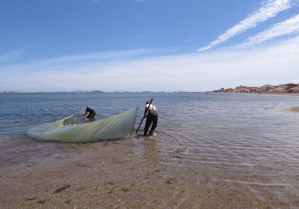 Un proyecto diseña una hoja de ruta con 14 soluciones para el desarrollo sostenible del Mar Menor