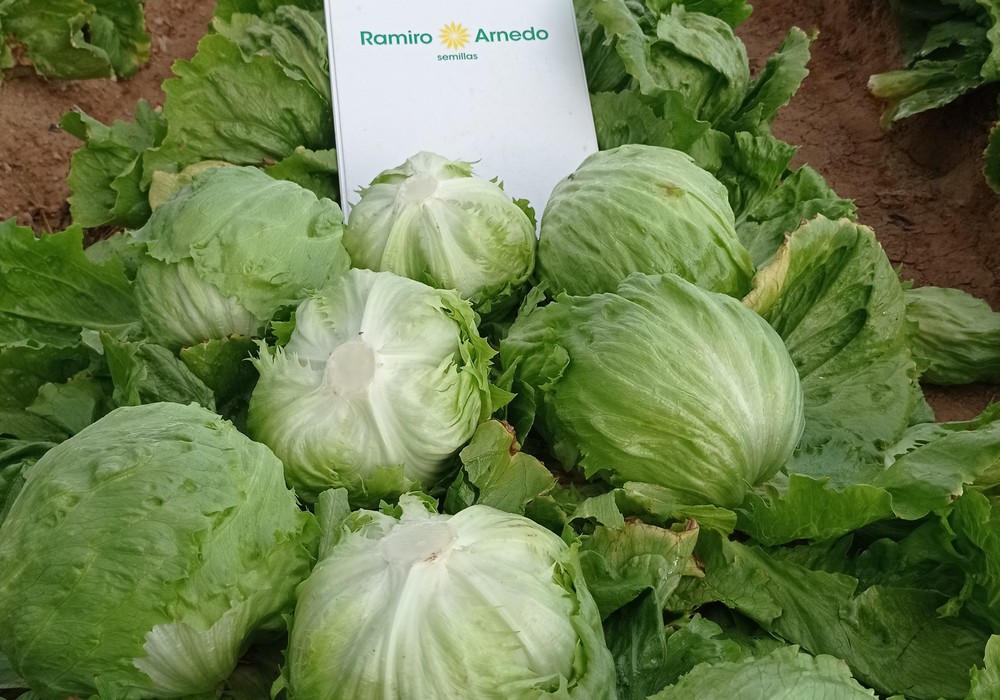 Cerler y Candanchú, las Little Gem de Ramiro Arnedo que reinan en invierno
