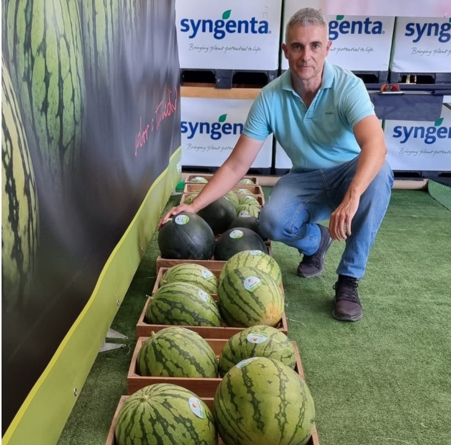 Syngenta extiende su gama de distintos calibres con sabor de sandía blanca también a la negra