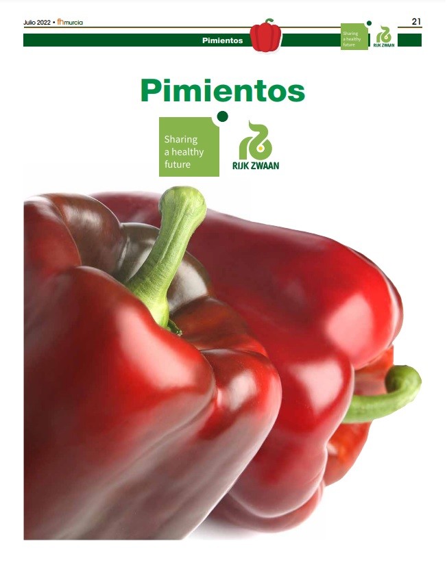 Julio 2022|| Especial de pimiento de Rijk Zwaan para Murcia
