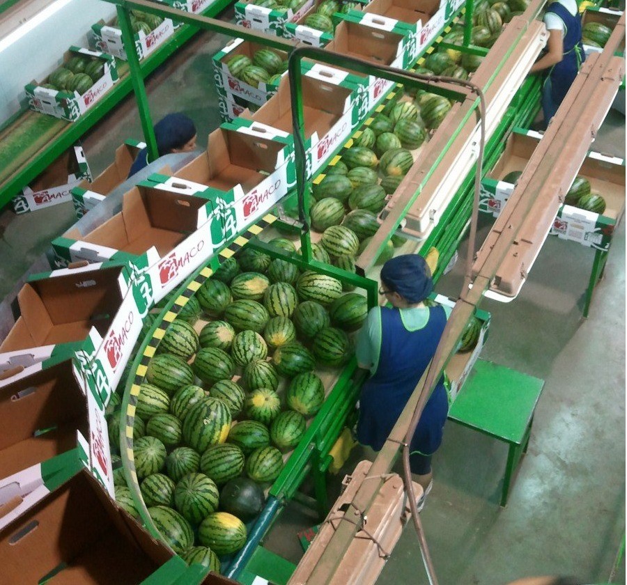 Magnum Capital adquiere las comercializadoras Amaco y Agrotomy y sigue creciendo en el sector agro
