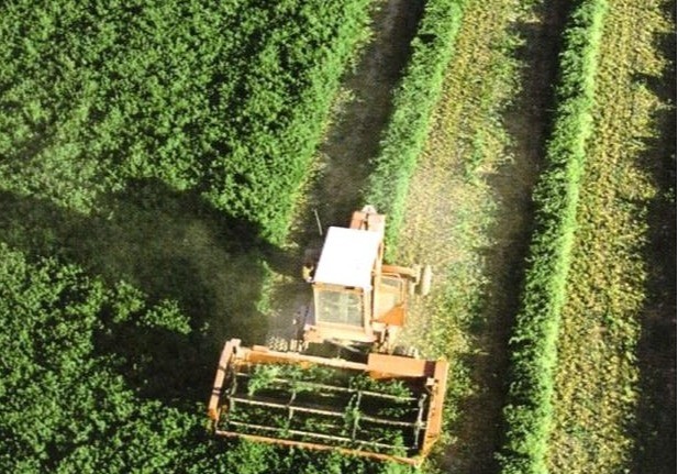 Los agricultores y ganaderos españoles podrán recibir hasta 3.386 millones de euros en pagos anticipados de la PAC