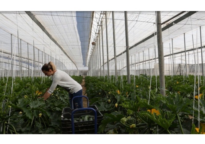 Las mujeres reciben menos de la tercera parte de las ayudas directas y de desarrollo rural de la PAC