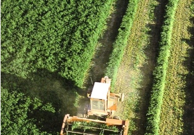 El Ministerio de Agricultura, Pesca y Alimentación acerca el conocimiento de los sectores agrario, pesquero y de la industria agroalimentaria